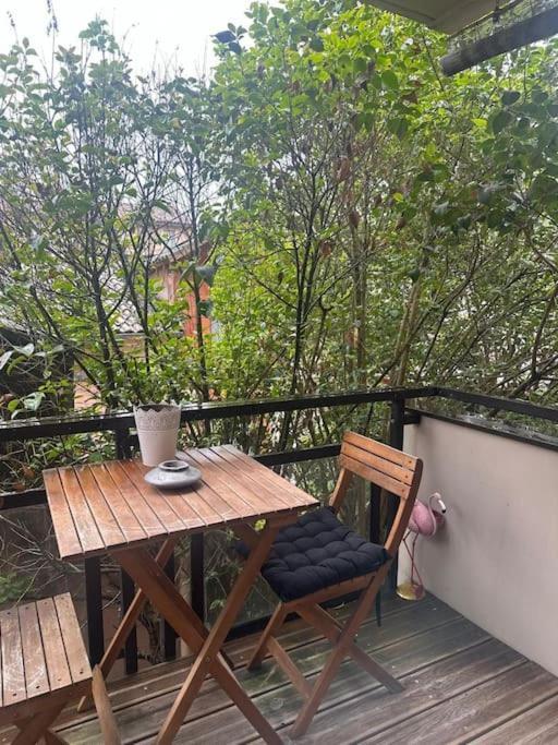 Jardin Des Plantes Parking Securise Terrasse Et Ascenseur Leilighet Toulouse Eksteriør bilde