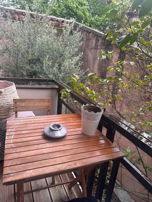 Jardin Des Plantes Parking Securise Terrasse Et Ascenseur Leilighet Toulouse Eksteriør bilde